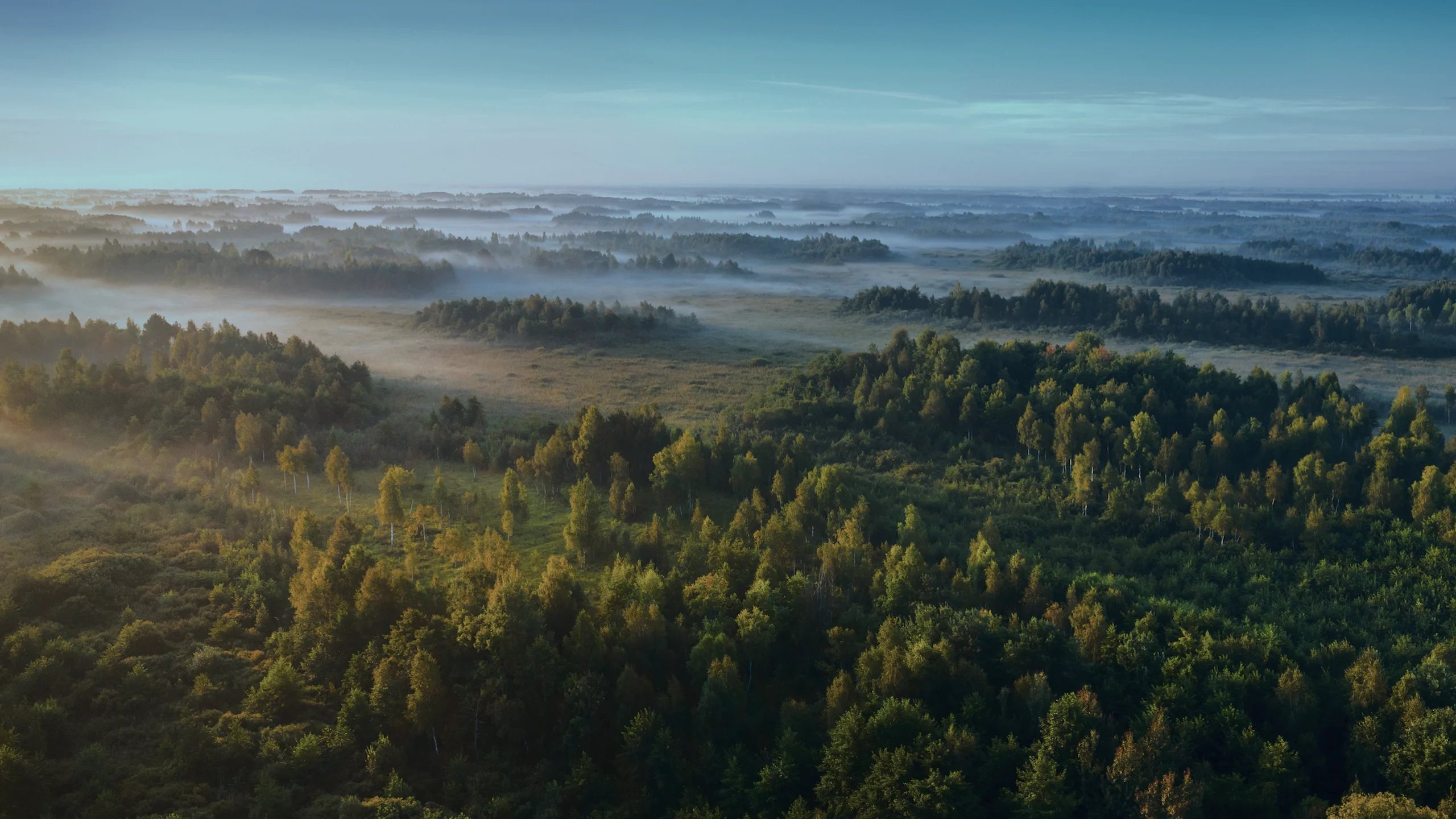 Expansive aerial view of a mist-covered forest at dawn, illustrating the vast natural landscapes that benefit from environmentally responsible IT asset disposition practices, such as ICT reuse, which help preserve these ecosystems by reducing e-waste.
