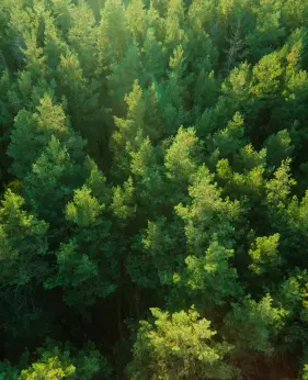 Natural landscape or environmental imagery representing ICT’s sustainability-focused approach to ITAD and reduced e-waste.